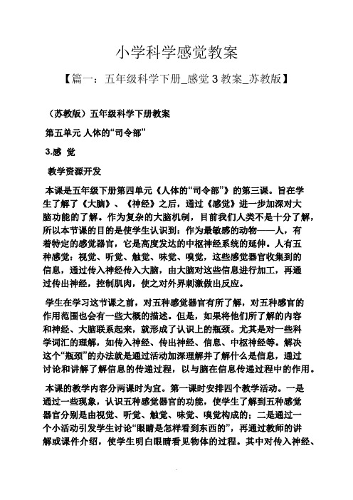 小学科学感觉教案