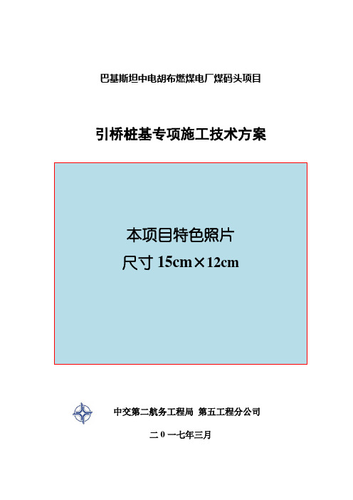 巴基斯坦中电胡布燃煤电厂煤码头项目引桥桩基专项施工方案