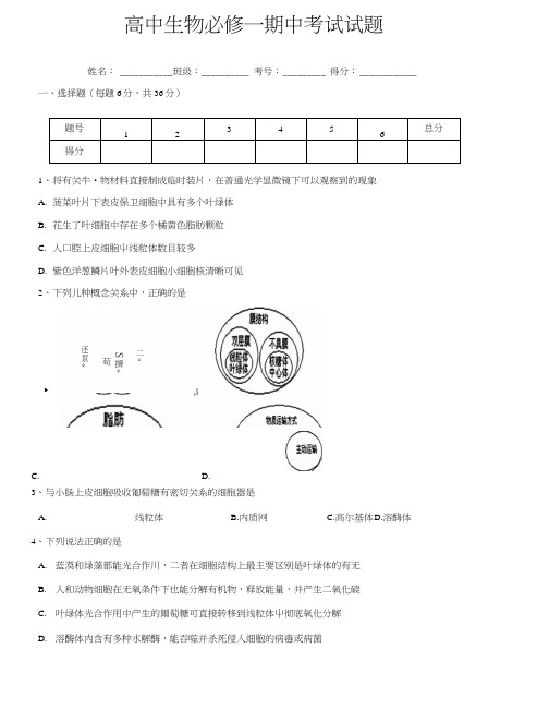 高中生物必修一期中考试试题.docx