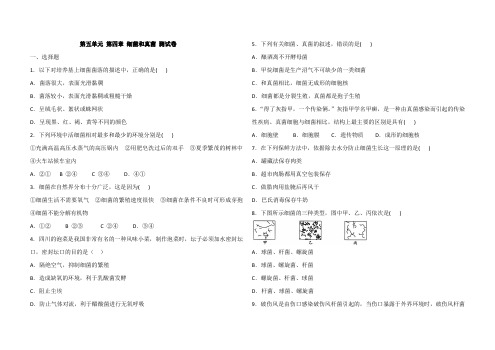 八年级上册生物 第五单元 第四章细菌和真菌测试卷(含答案)