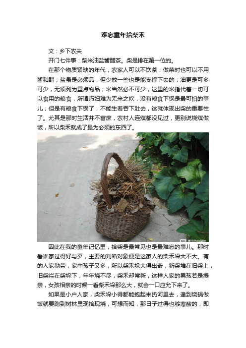 难忘童年拾柴禾