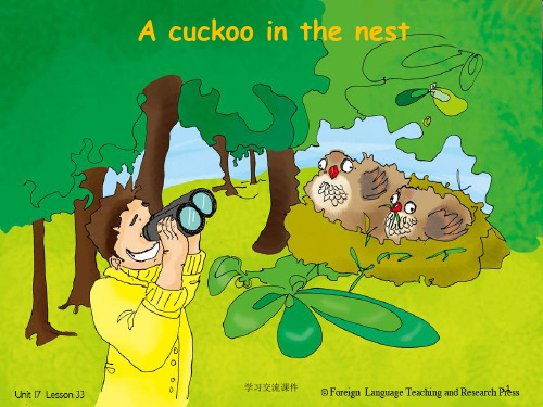 青少版新概念2B Unit17 A cuckoo in the nest(ppt课件)