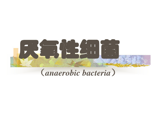 《病原微生物学》厌氧性细菌