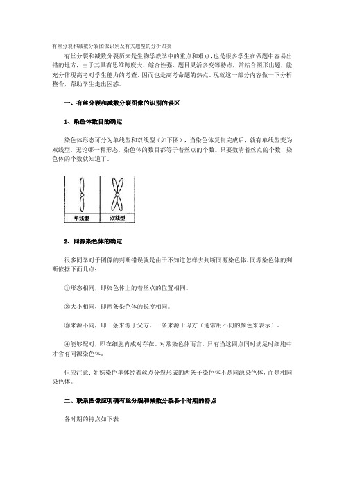 (完整版)生物有丝分裂和减数分裂图解,区别和联系