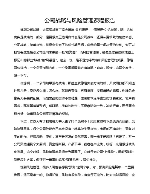 公司战略与风险管理课程报告