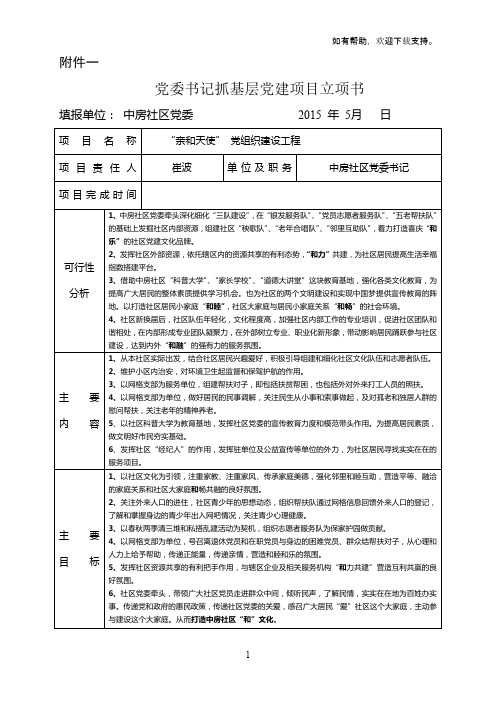 党委书记抓基层党建项目立项书