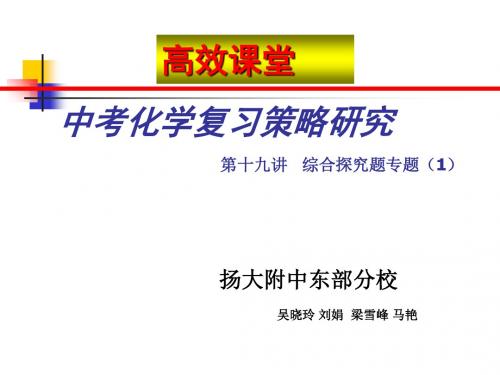 中考化学复习高效课堂系列课件(共26套) 人教版9