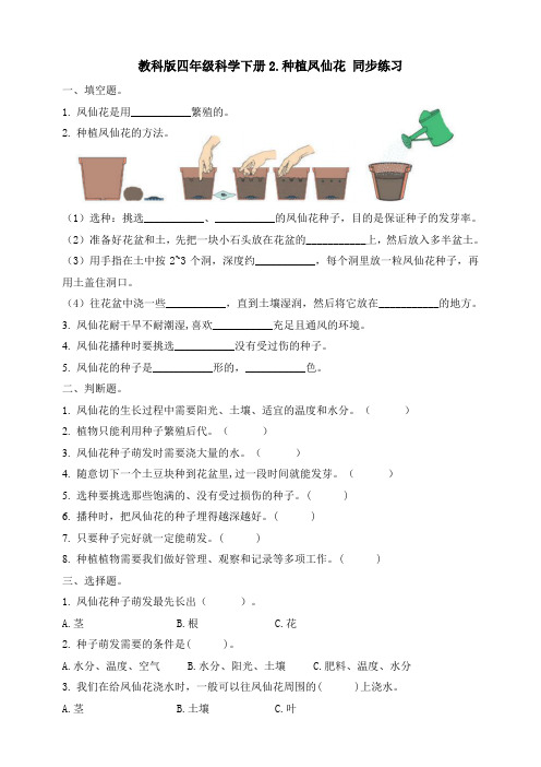 新版教科版四年级下册科学1.2种植凤仙花 同步练习(含答案)