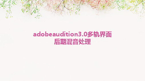 AdobeAudition3.0多轨界面后期混音处理