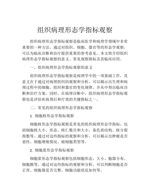 组织病理形态学指标观察