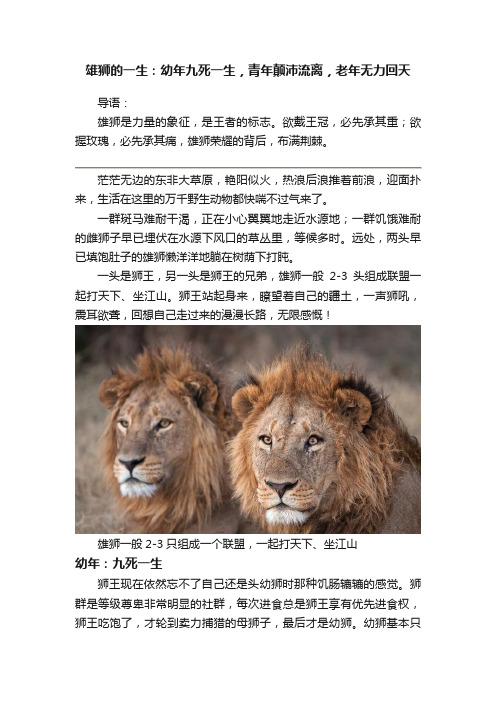 雄狮的一生：幼年九死一生，青年颠沛流离，老年无力回天