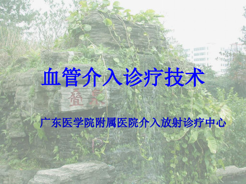 经皮血管成形术