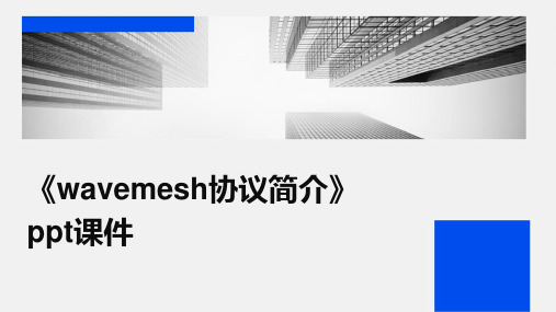 《WaveMesh协议简介》课件