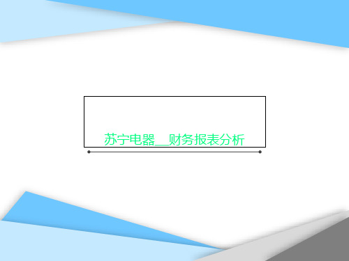 苏宁电器__财务报表分析