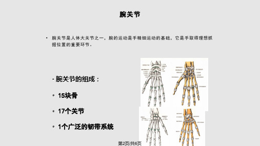 运动学三腕骨与韧带