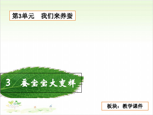 三年级下册科学-蚕宝宝变样了粤教版