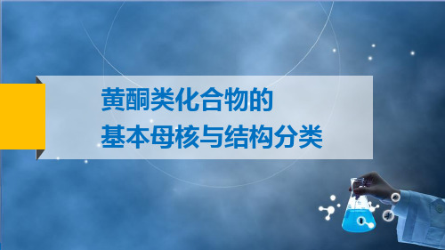 2951黄酮类化合物的基本母核与结构分类