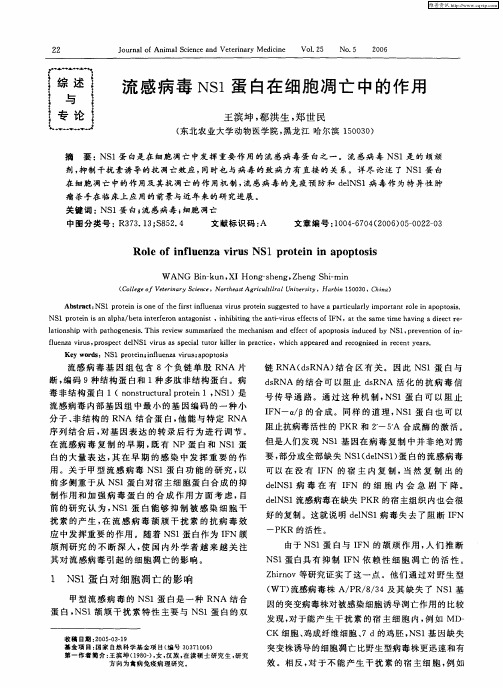 流感病毒NS1蛋白在细胞凋亡中的作用