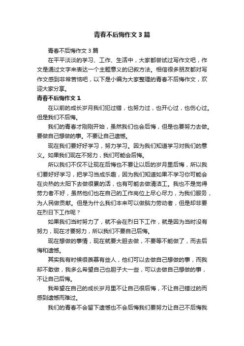 青春不后悔作文3篇