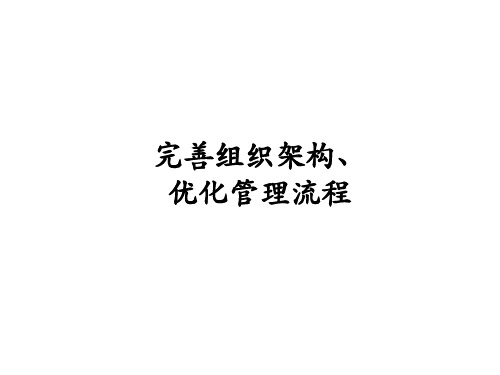 麦肯锡—最新组织架构、管理流程方案