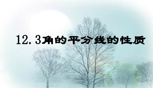 12.3角平分线的性质与判定