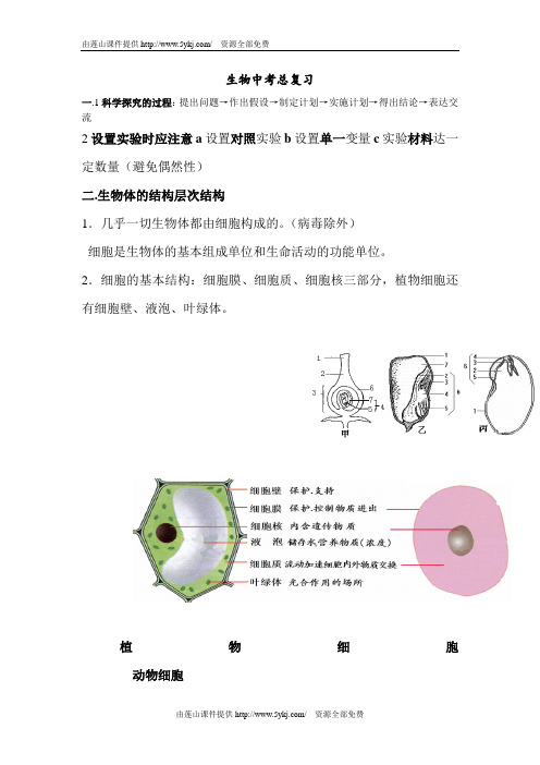 生物中考总复习