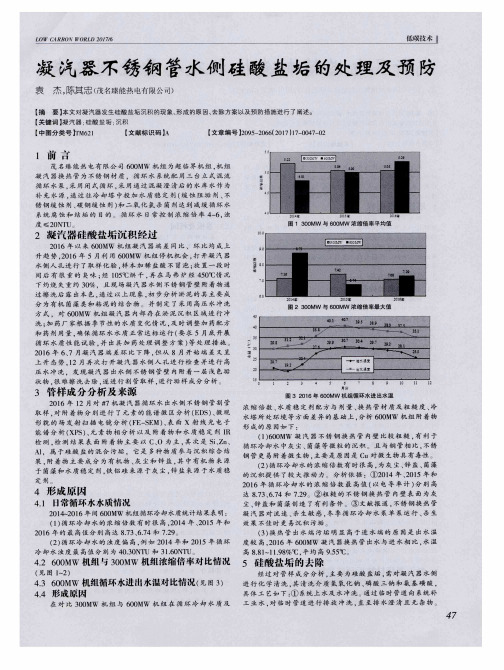 凝汽器不锈钢管水侧硅酸盐垢的处理及预防