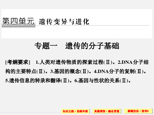 高考生物 二轮复习 专题突破篇 第四单元 专题1 遗传的分子基础