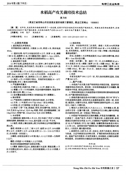 水稻高产攻关栽培技术总结