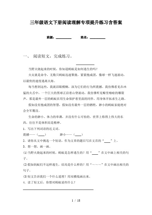 三年级语文下册阅读理解专项提升练习含答案