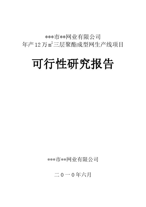 年产12万平方米三层聚酯成型网项目可行性研究报告