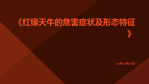 红缘天牛的危害症状及形态特征