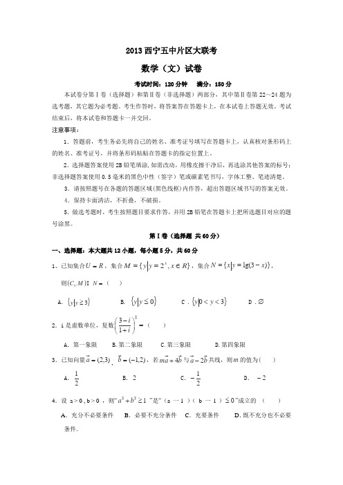 青海省西宁五中片区2013届高三大联考数学(文)试卷