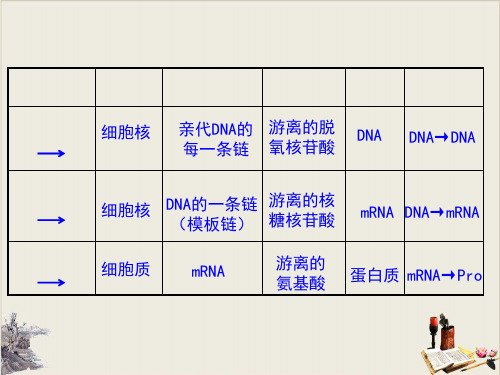 基因表达与性状的关系(18张PPT)【完美版】