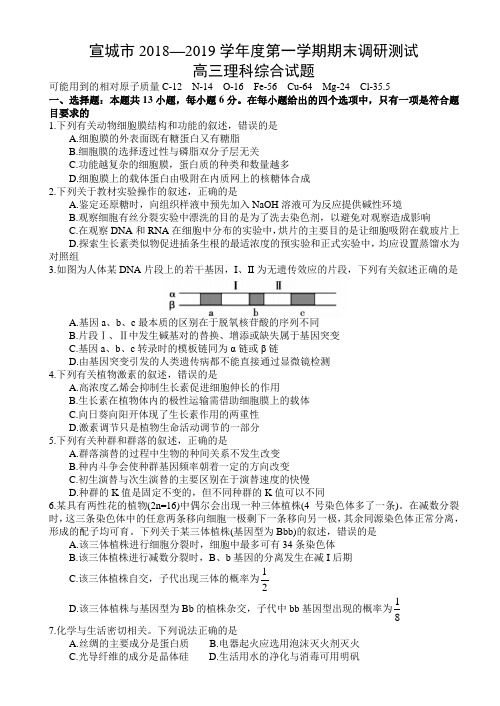 安徽省宣城市2019届高三上学期期末考试理科综合试题