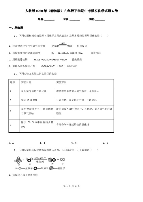 人教版2020年(春秋版)九年级下学期中考模拟化学试题A卷新版