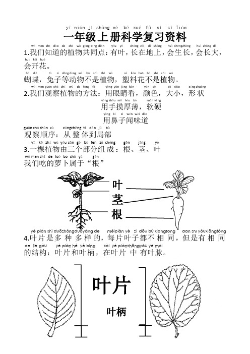 一年级上册科学教科版知识点复习资料(素材)