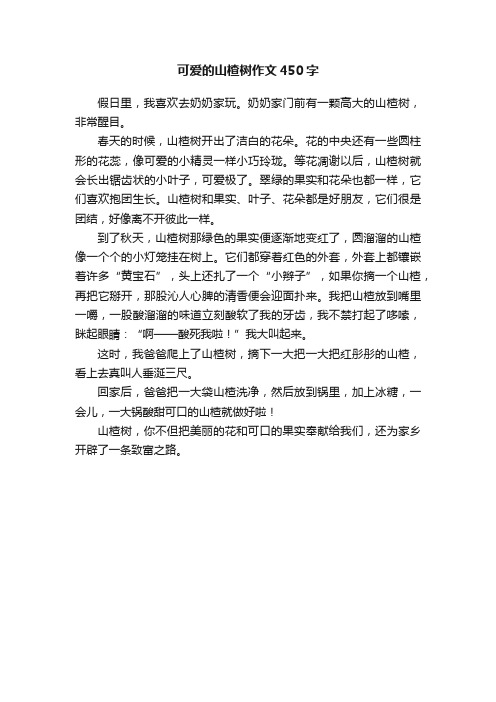 可爱的山楂树作文450字