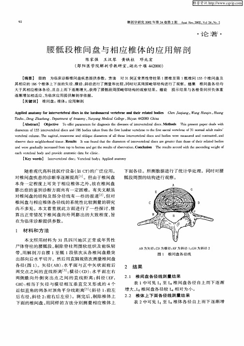 腰骶段椎间盘与相应椎体的应用解剖
