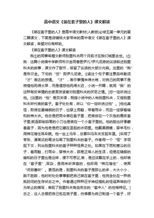 高中语文《装在套子里的人》课文解读