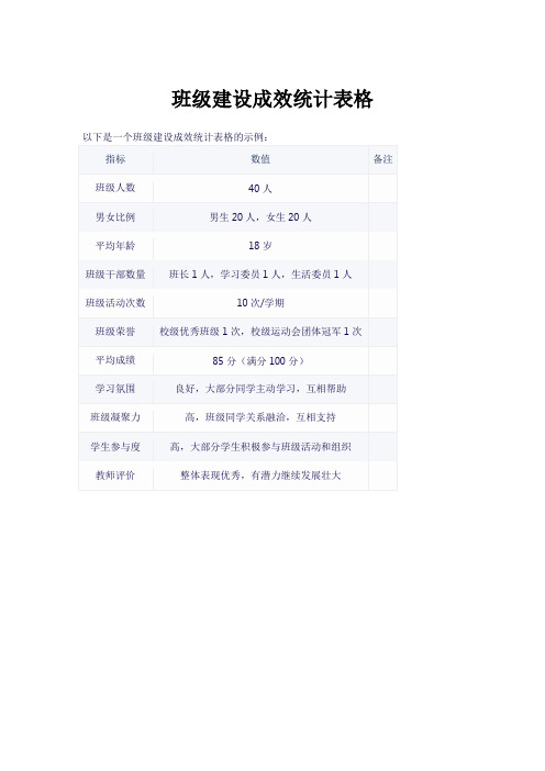.班级建设成效统计表文本