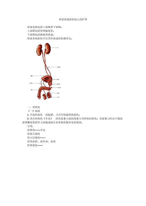 泌尿系统损伤病人的护理