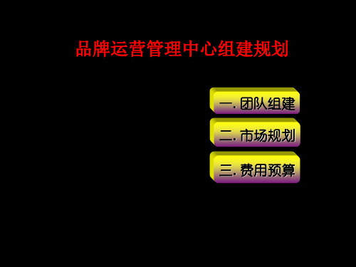 最新2010年营销运营团队组建及年度费用预算(NEW)