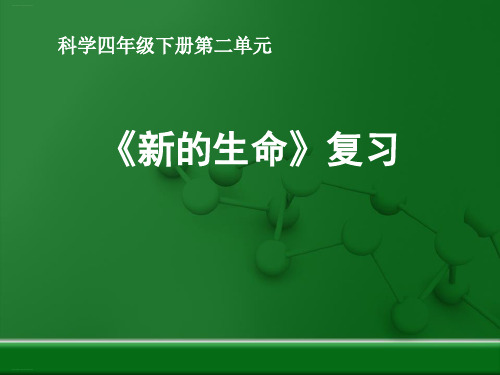 四年级下册科学课件-第二单元《新的生命》复习 教科版(共48张PPT)