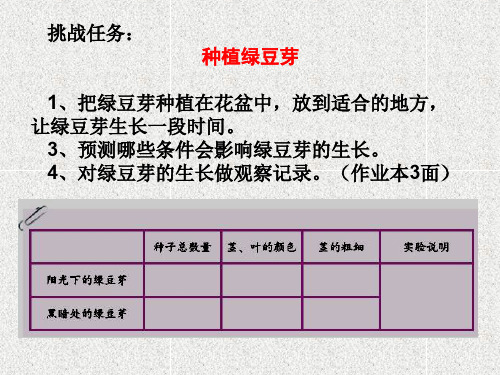 科学五上1.3《观察绿豆芽的生长》(1)