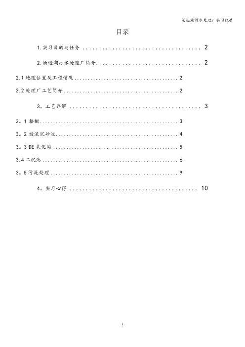 汤逊湖污水处理厂实习报告