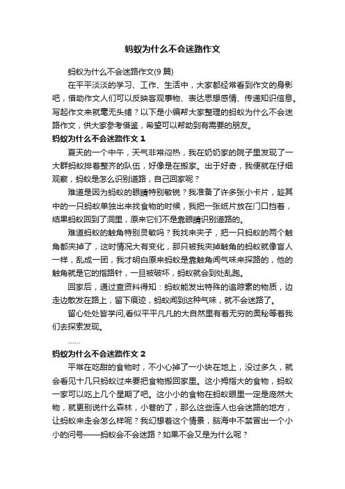 蚂蚁为什么不会迷路作文（9篇）