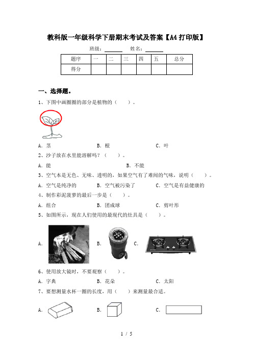 教科版一年级科学下册期末考试及答案【A4打印版】