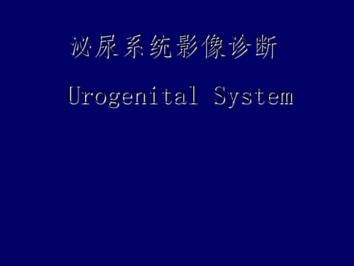 泌尿系统影像学表现(详细、全面)ppt课件