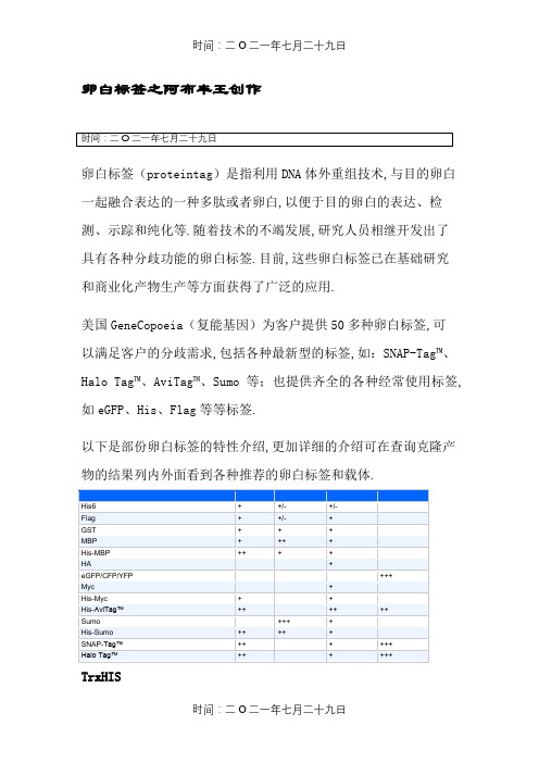 常见tag蛋白标签介绍